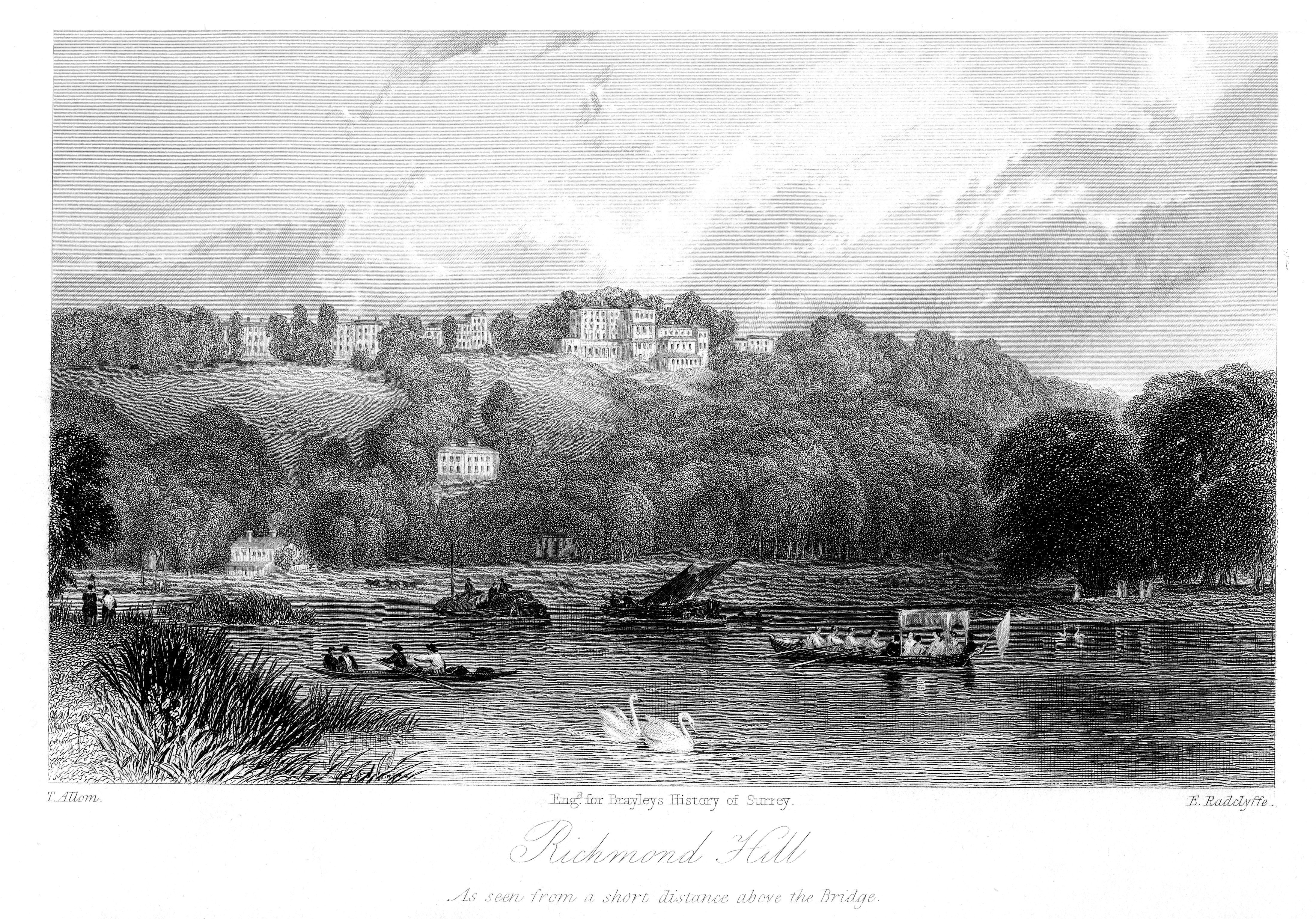 Richmond Hill,Richmond the Thames from Twickenham bank,river view,prints